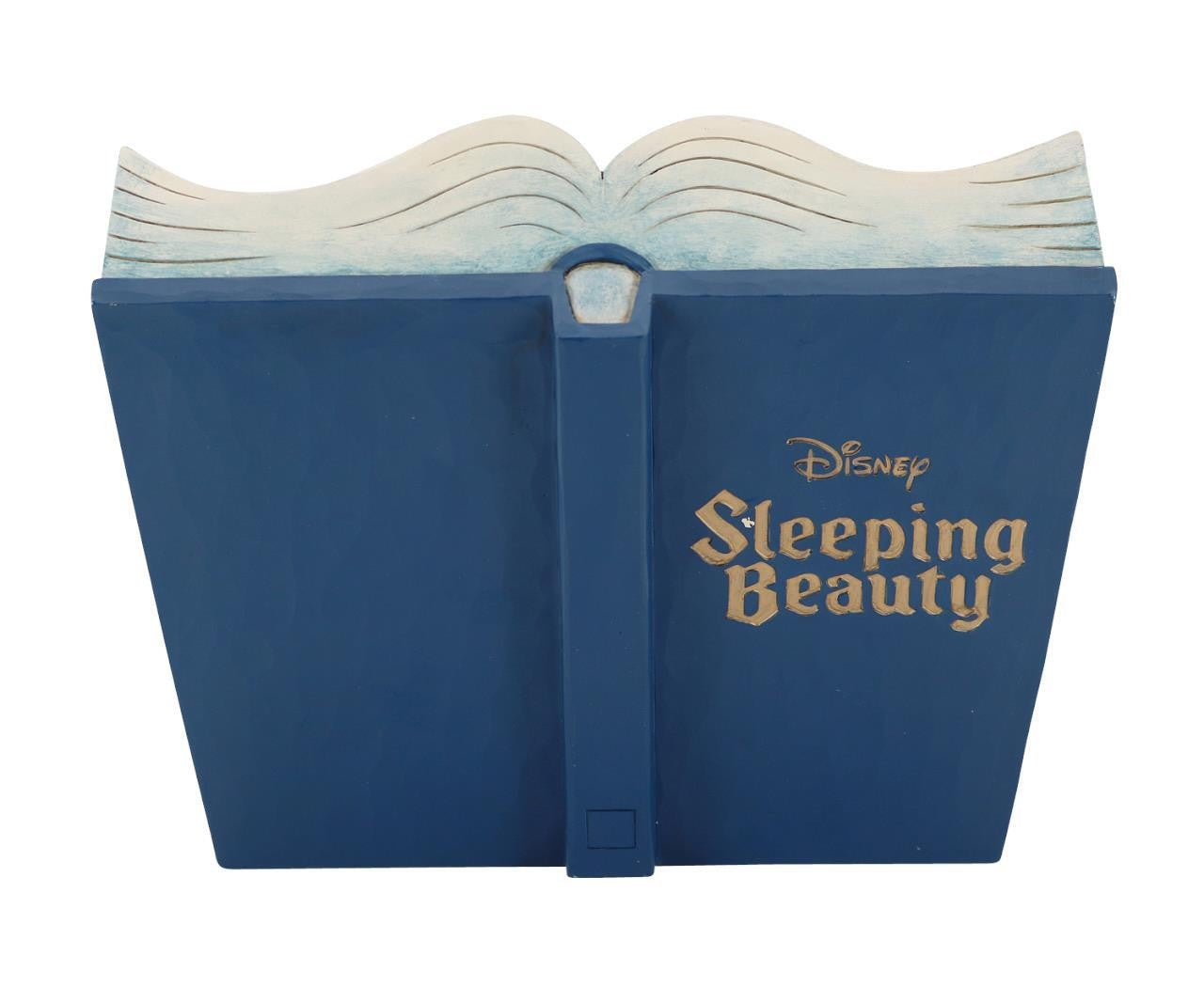 Sleeping Beauty Story Book