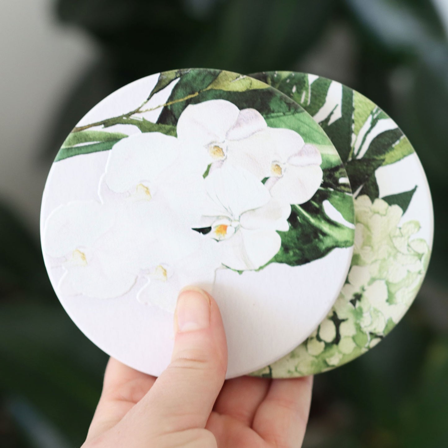 Greenhouse Pansy Ceramic Coaster