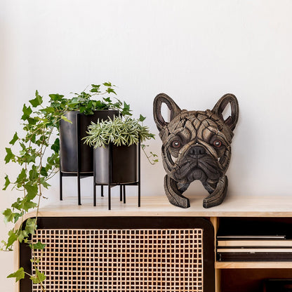 Edge Bust French Bulldog