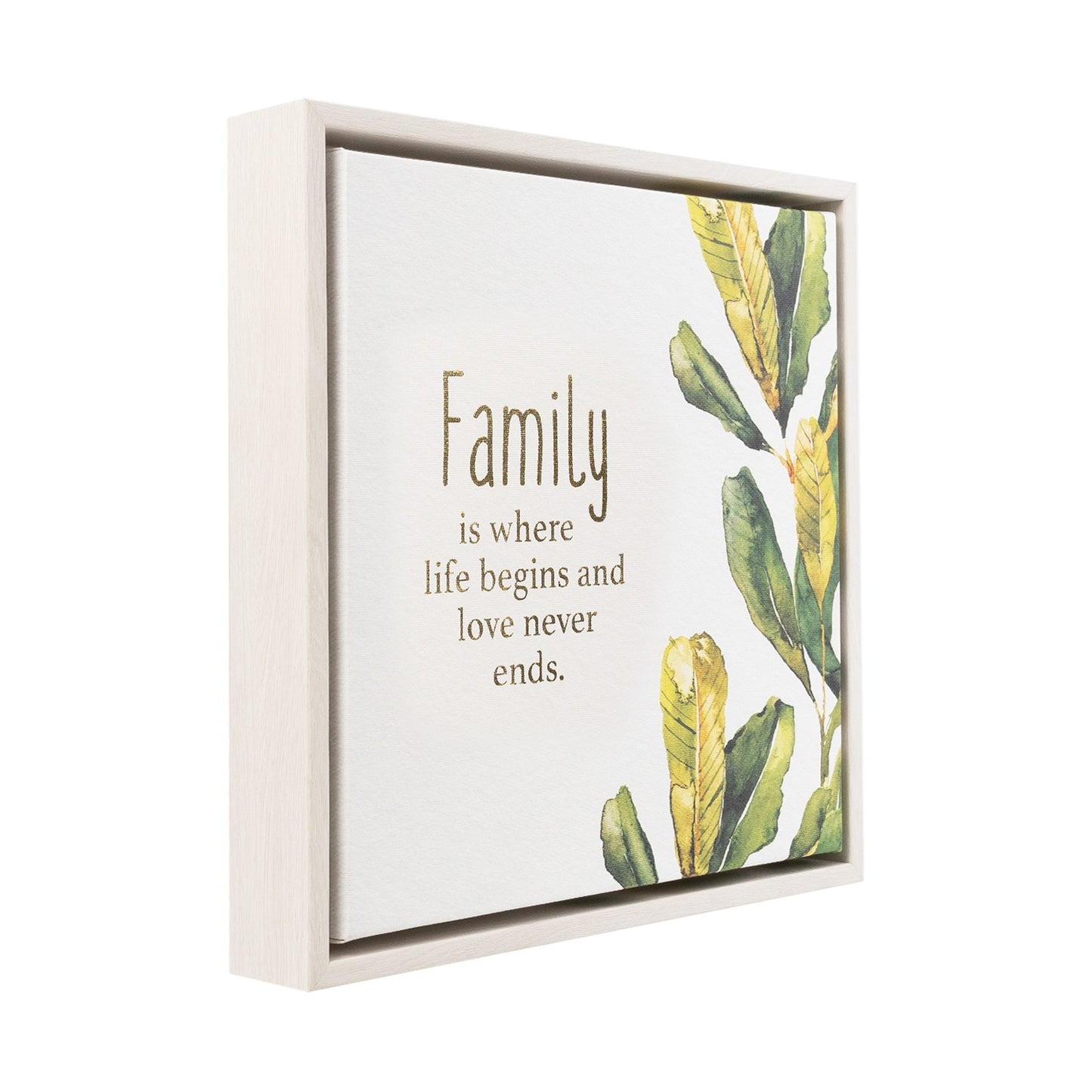 Greenhouse Family Framed Canvas 34x34