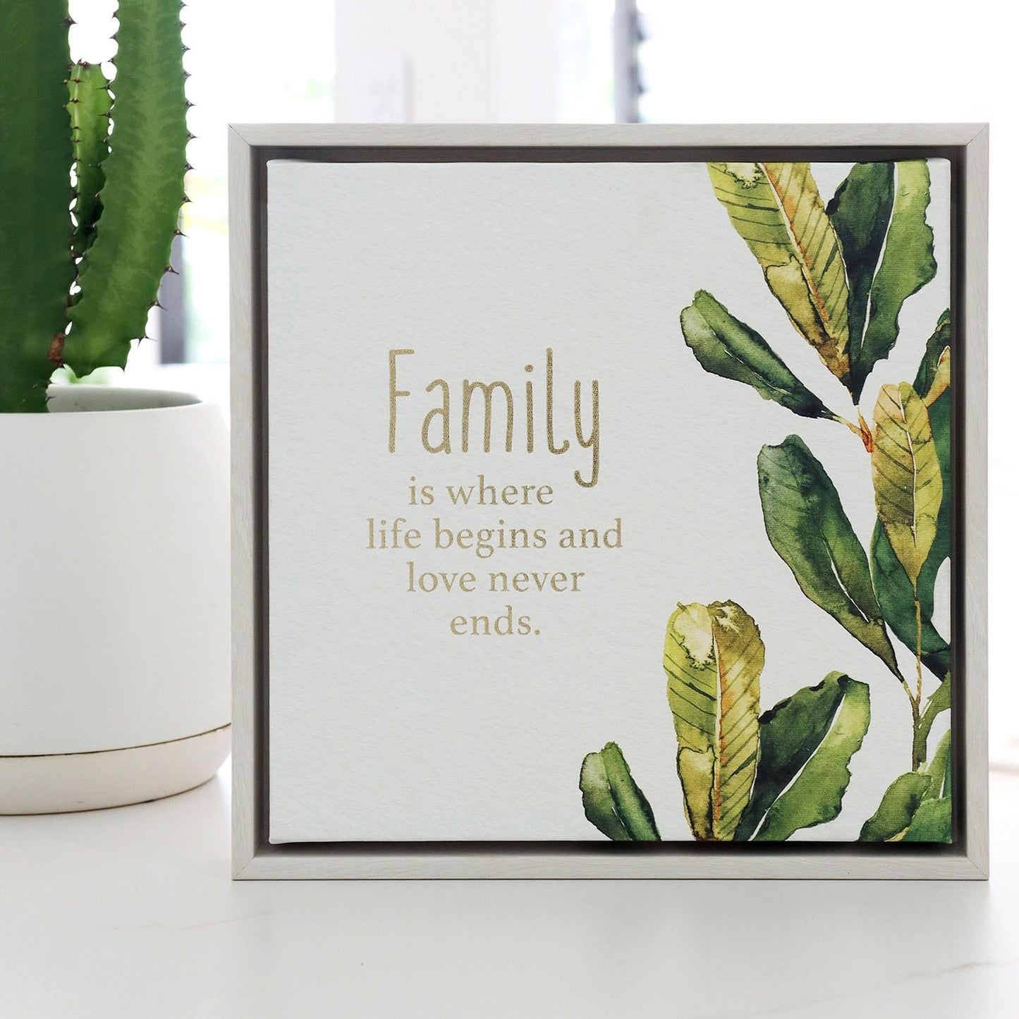 Greenhouse Family Framed Canvas 34x34
